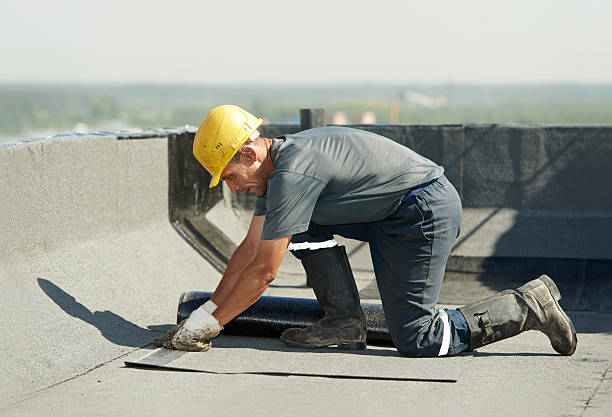 Best Specialty Insulation in Taft, FL